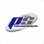 PROFESSIONAL SERVICE